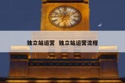 独立站运营  独立站运营流程