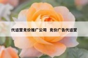 代运营竞价推广公司  竞价广告代运营