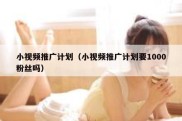 小视频推广计划（小视频推广计划要1000粉丝吗）