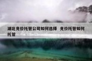 湖北竞价托管公司如何选择  竞价托管如何托管