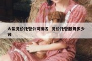 大型竞价托管公司排名  竞价托管服务多少钱