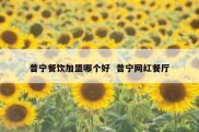 普宁餐饮加盟哪个好  普宁网红餐厅