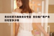 竞价托管力推微竞价专业  竞价推广账户竞价托管多少钱