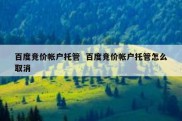 百度竞价帐户托管  百度竞价帐户托管怎么取消