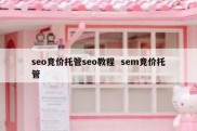 seo竞价托管seo教程  sem竞价托管