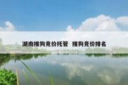 湖南搜狗竞价托管  搜狗竞价排名