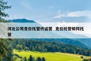 河北公司竞价托管代运营  竞价托管如何托管