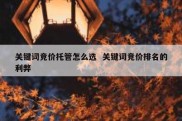 关键词竞价托管怎么选  关键词竞价排名的利弊