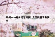 泰州sem竞价托管案例  竞价托管专业团队