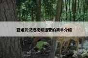 亚姐武汉短视频运营的简单介绍