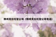 柳州竞价托管公司（柳州竞价托管公司电话）