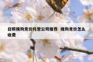 日照搜狗竞价托管公司推荐  搜狗竞价怎么收费