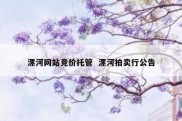 漯河网站竞价托管  漯河拍卖行公告