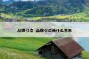 品牌引流  品牌引流是什么意思