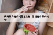 梅州账户竞价托管怎么样  深圳竞价账户托管