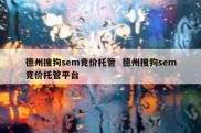 德州搜狗sem竞价托管  德州搜狗sem竞价托管平台