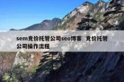 sem竞价托管公司seo博客  竞价托管公司操作流程