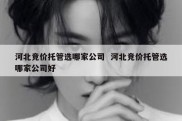 河北竞价托管选哪家公司  河北竞价托管选哪家公司好