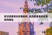 武汉百度竞价托管机构  武汉百度竞价托管机构地址