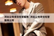 河北公司竞价托管服务  河北公司竞价托管服务公司