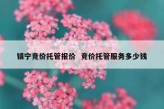 镇宁竞价托管报价  竞价托管服务多少钱