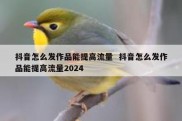 抖音怎么发作品能提高流量  抖音怎么发作品能提高流量2024