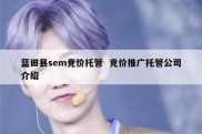 蓝田县sem竞价托管  竞价推广托管公司介绍