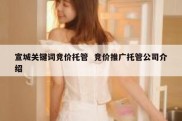 宣城关键词竞价托管  竞价推广托管公司介绍