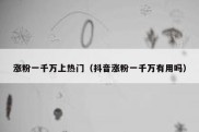 涨粉一千万上热门（抖音涨粉一千万有用吗）