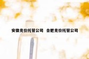 安徽竞价托管公司  合肥竞价托管公司