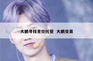 大鹏寻找竞价托管  大鹏交易
