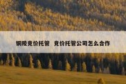 铜陵竞价托管  竞价托管公司怎么合作