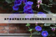 关于本溪天猫无货源代运营招商加盟的信息