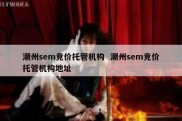 潮州sem竞价托管机构  潮州sem竞价托管机构地址