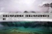贸易公司的运营模式（贸易公司的运营模式分析）