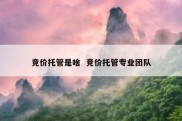 竞价托管是啥  竞价托管专业团队