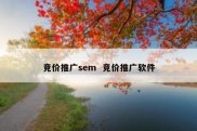 竞价推广sem  竞价推广软件