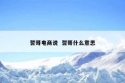 哲哥电商说  哲哥什么意思