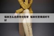 福田怎么选择竞价托管  福田托管果园好不好