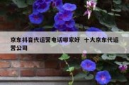 京东抖音代运营电话哪家好  十大京东代运营公司