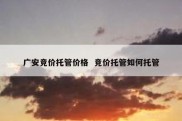 广安竞价托管价格  竞价托管如何托管
