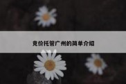 竞价托管广州的简单介绍