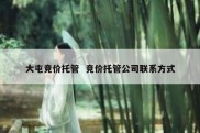 大屯竞价托管  竞价托管公司联系方式