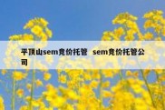 平顶山sem竞价托管  sem竞价托管公司