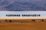 代运营招商渠道  招商加盟代运营公司