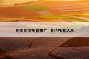 竞价竞价托管推广  竞价托管话术