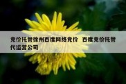 竞价托管徐州百度网络竞价  百度竞价托管代运营公司