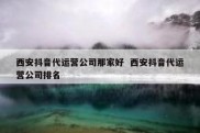 西安抖音代运营公司那家好  西安抖音代运营公司排名