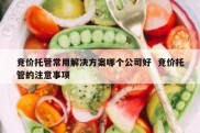 竞价托管常用解决方案哪个公司好  竞价托管的注意事项