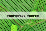 竞价推广哪里有公司  竞价推广网站